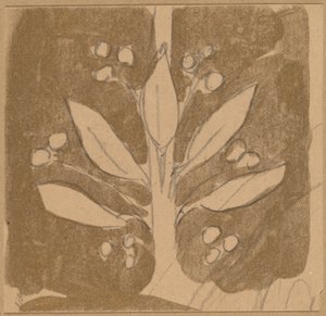 边界设计的研究 作者 查尔斯·斯普拉格·皮尔斯
