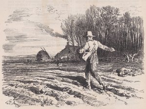散落的种子》，来自《皮托雷斯克杂志》，1857年5月。