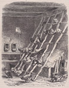 参观农场--公鸡，来自Le Magasin Pittoresque，约1852年。