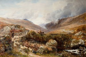 巴茅斯的Llanbedr附近，1872年。