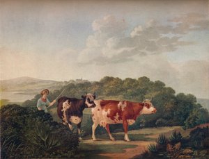 1830年末至19世纪初，英国风景与短角牛，1930年。