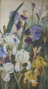 鸢尾花，1882年 作者 夏洛特·霍德（Charlotte Hodder）