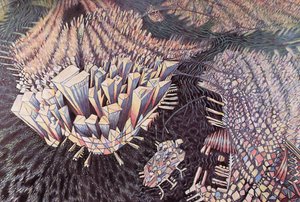 曼哈顿，1994年 作者 夏洛特·约翰逊大选