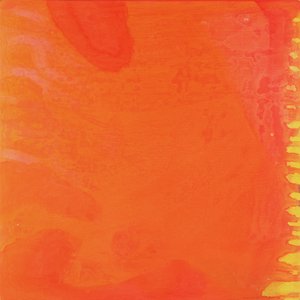 Rabbit Orange，1997（石膏板上的油和釉）