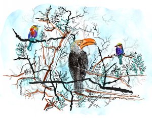 树上的鸟，2018（钢笔、墨水和水彩画） 作者 夏洛特奥尔