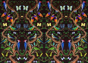 鸟类和蝴蝶，2019年（毛笔）。 作者 夏洛特奥尔