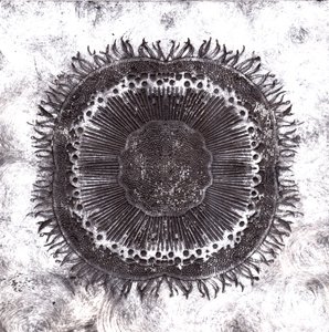 植物细胞，2019年（干点蚀刻）。