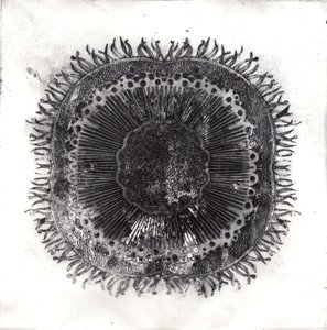 植物细胞，2019年（干点蚀刻）。 作者 夏洛特奥尔