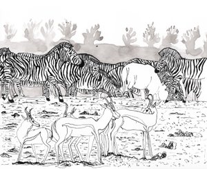 Safari 3, 2018（水墨和水彩画） 作者 夏洛特奥尔