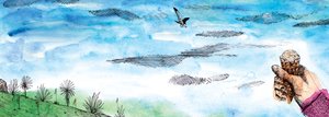 海鸥的故事》，2020年（水彩和钢笔）。 作者 夏洛特奥尔