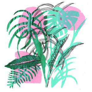 热带植物, 2018 (丝网印刷) 作者 夏洛特奥尔