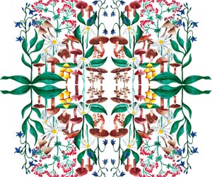 野生植物，2015年 丙烯酸 作者 夏洛特奥尔
