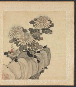 古代大师之后的绘画：菊花和岩石，1598-1652年。 作者 陈洪寿