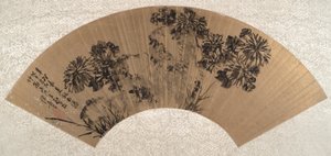 菊花与岩石 作者 陈家燕