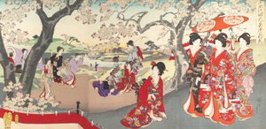 Chiyoda Castle Album of Women, 1895., 1895. 作者 近信洋州