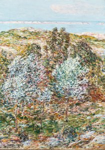 Springtime Vision 作者 柴尔德·弗雷德里克·哈萨姆