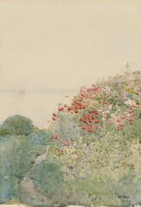 罂粟花田，浅滩岛 作者 柴尔德哈桑