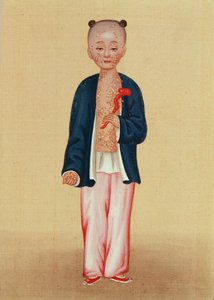 天花儿（纸上wc） 作者 中文学校