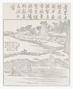 悲惨的稻田，十八世纪 作者 中文学校