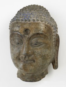 佛陀的头，分裂时期，550-577（石灰石） 作者 中文学校