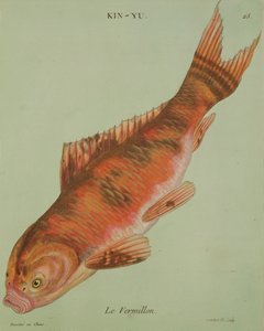 朱红色雕刻的弗朗索瓦·尼古拉斯·马丁内（1731-p.1796）（印刷品） 作者 中文学校