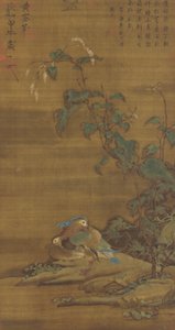 鸳鸯属于明代或清代的明苔，15至18世纪