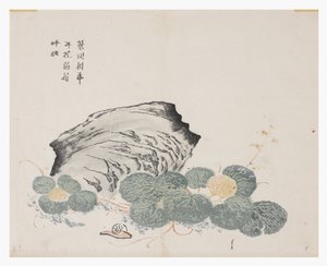 芥菜园 作者 中文学校
