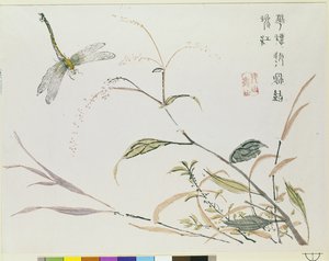 芥菜籽园 作者 中文学校
