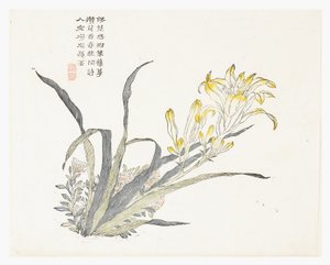 芥菜籽园 作者 中文学校