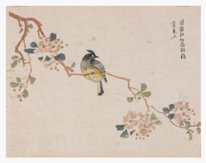 芥菜籽园 作者 中文学校