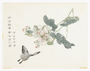 芥菜园 作者 中文学校