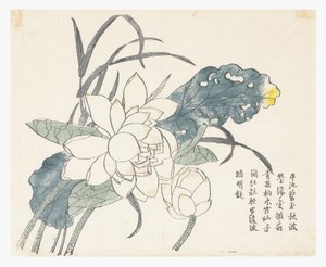 Mustard Seed Garden 作者 中文学校
