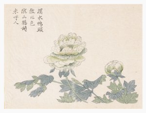 Mustard Seed Garden 作者 中文学校