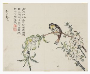 芥菜园 作者 中文学校