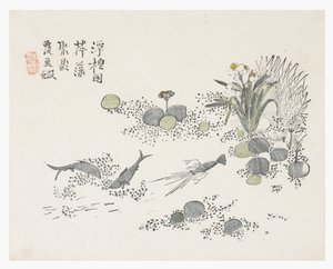 芥菜园 作者 中文学校