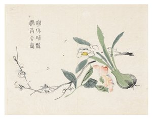 芥菜园 作者 中文学校