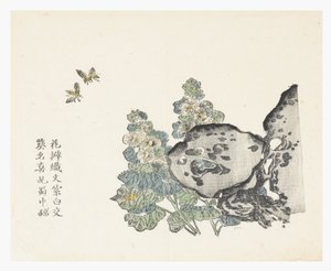 芥菜园 作者 中文学校