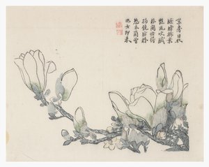 芥菜园 作者 中文学校