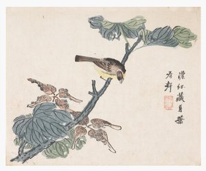 芥菜园 作者 中文学校