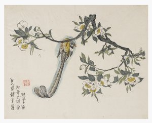 芥菜园 作者 中文学校