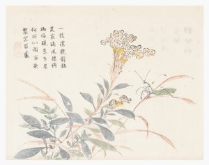 芥菜籽园 作者 中文学校