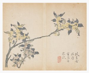 芥菜园 作者 中文学校