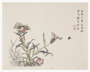 芥菜园 作者 中文学校