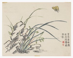 芥菜园 作者 中文学校