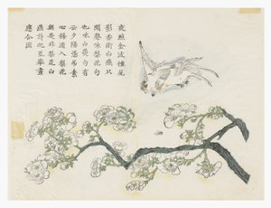 Mustard Seed Garden 作者 中文学校