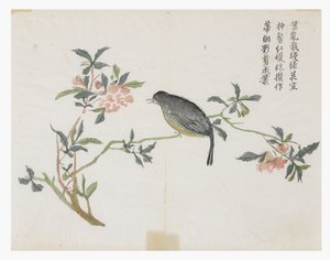 Mustard Seed Garden 作者 中文学校