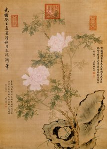 牡丹与岩石，1893年 作者 中文学校