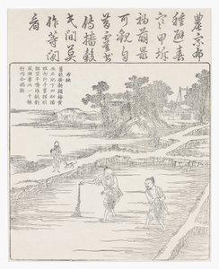 在18世纪的水稻种子床上播种 作者 中文学校