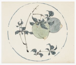 十八世纪的十竹系列 作者 中文学校