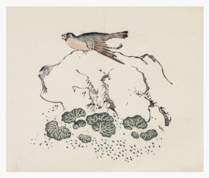 十八世纪的十竹系列 作者 中文学校